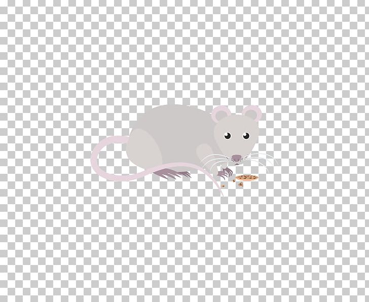 Rat Mouse Rodent Murids Mammal PNG, Clipart, Animal, Animals, Mammal, Mouse, Muridae Free PNG Download