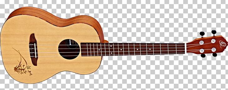 Twelve-string Guitar Takamine Guitars Classical Guitar Acoustic Guitar PNG, Clipart, Acoustic Electric Guitar, Classical Guitar, Cuatro, Cutaway, Guitar Accessory Free PNG Download