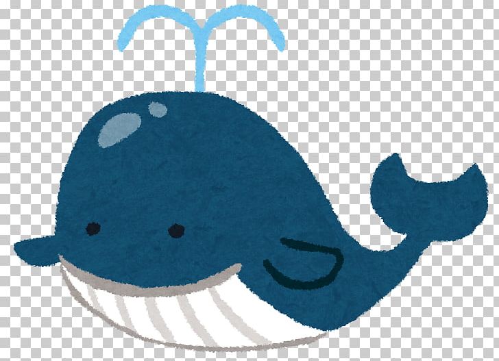 Cetacea スラング Internet Slang こきりこ祭り Festival PNG, Clipart, Abbreviation, Blue, Blue Whale, Cetacea, Character Free PNG Download