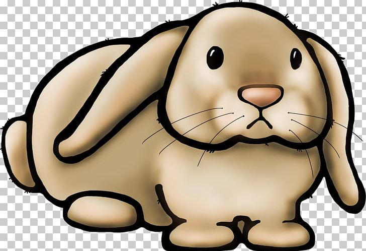 Domestic Rabbit Portable Network Graphics Teacher PNG, Clipart, Animal, Animals, Carnivoran, Cartoon, Chinese Zodiac Free PNG Download