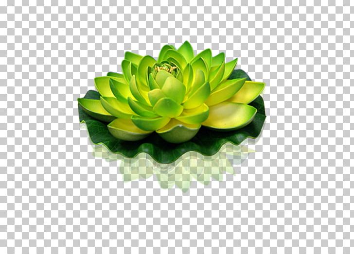 Green Lantern Sacred Lotus Flower Candle PNG, Clipart, Candle, Color, Flores De Corte, Flower, Garden Pond Free PNG Download