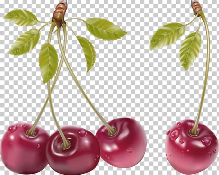 Fruit Cherry PNG, Clipart, Banana, Berry, Cherry, Cherry Blossom, Christmas Decoration Free PNG Download