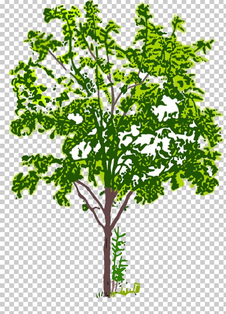 Silhouette Branch Forest PNG, Clipart, Animals, Black, Black And White, Branch, Computer Icons Free PNG Download