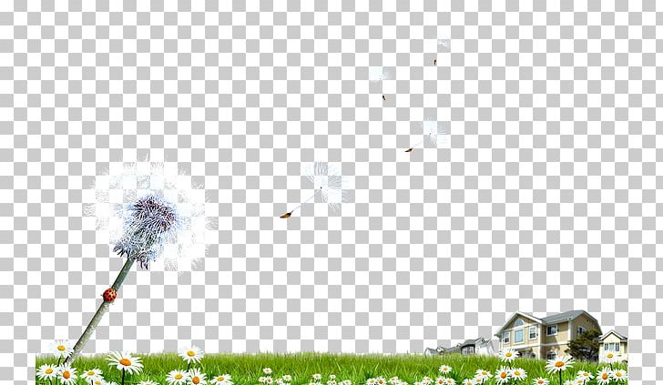 Dandelion Fukei Landscape PNG, Clipart, Computer Wallpaper, Dandelion Flower, Dandelions, Dandelion Seeds, Dandelion Vector Free PNG Download