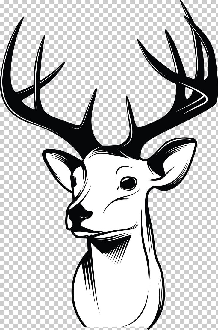 Deer Drawing Sketch PNG, Clipart, Animals, Antler, Art, Art Museum, Black And White Free PNG Download