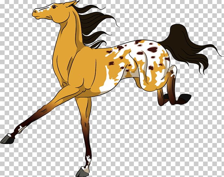 Mustang Foal Stallion Colt Pony PNG, Clipart, Animal Figure, Colt, Foal, Halter, Horse Free PNG Download
