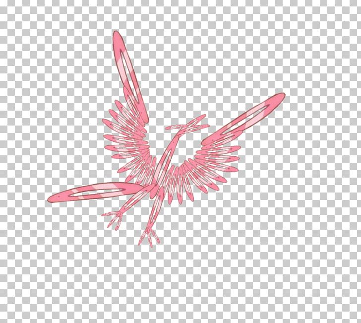 Pink M Feather Beak Line PNG, Clipart, Animals, Beak, Bird, Feather, Line Free PNG Download