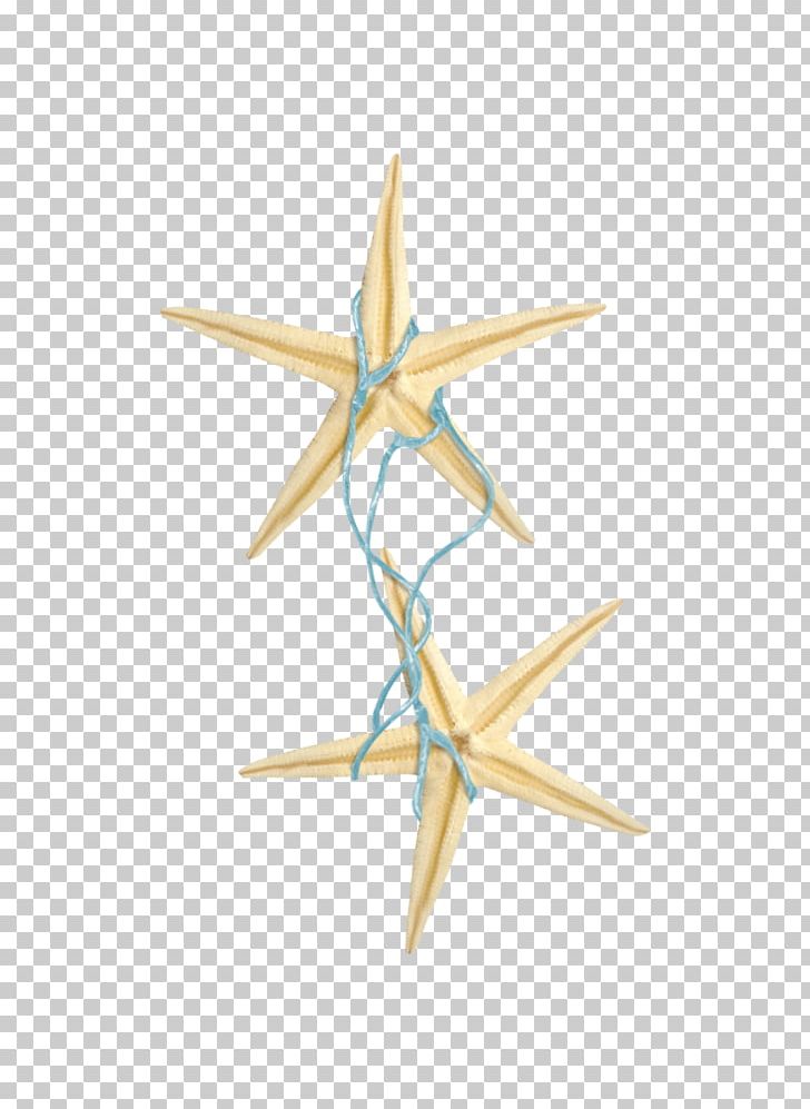 Starfish Rope Blue PNG, Clipart, Animals, Blue, Blue Rope, Blue Starfish, Brown Free PNG Download