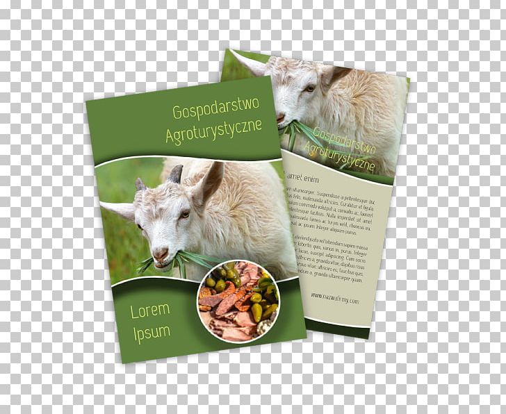 Goat Cattle The Notebook Advertising PNG, Clipart, Advertising, Animals, Cattle, Cow Goat Family, Fauna Free PNG Download
