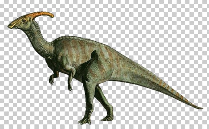 Tiranossauro Estegossauro Triceratops Parasaurolophus Velociraptor,  vaqueiro, carnívoro, tiranossauro png