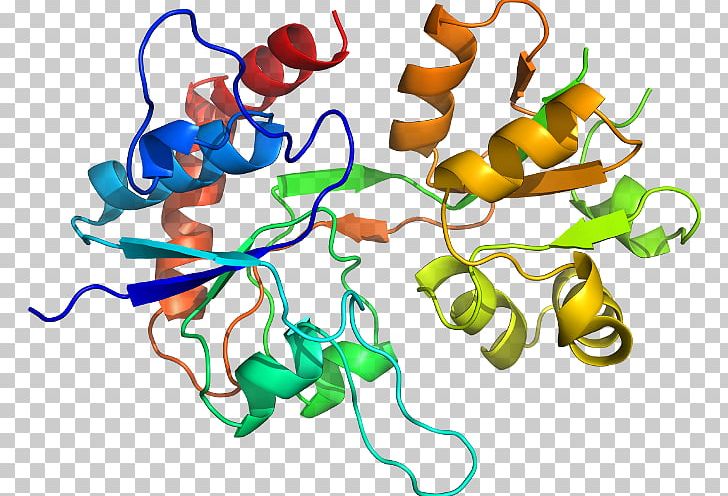 Pepsin Molecule Enzyme Protein Digestion PNG, Clipart, 1 A, Artwork, Bind, Composto Molecular, D 1 Free PNG Download