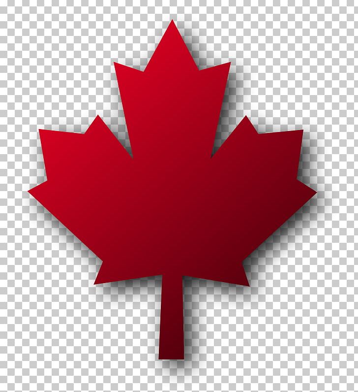 Toronto Pearson International Airport Maple Leaf PNG, Clipart, Autumn Leaf Color, Computer Icons, Film, Flag Of Canada, Flowering Plant Free PNG Download