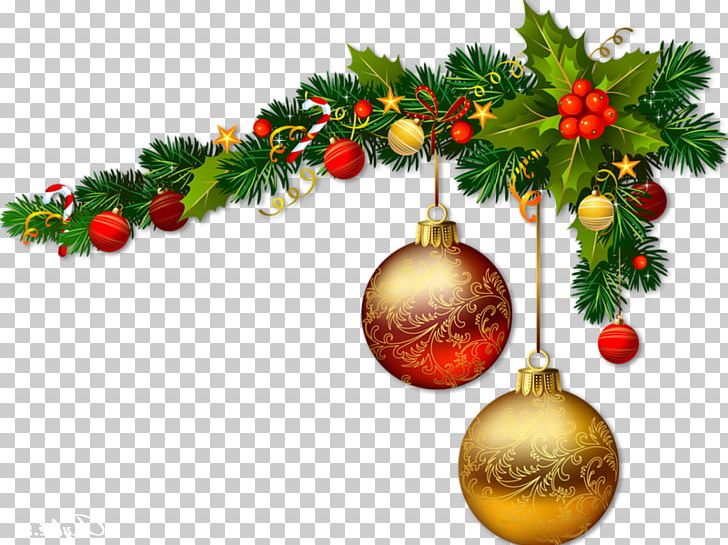 Ded Moroz Snegurochka Holiday New Year PNG, Clipart, Branch, Cari, Christmas, Christmas Decoration, Christmas Ornament Free PNG Download