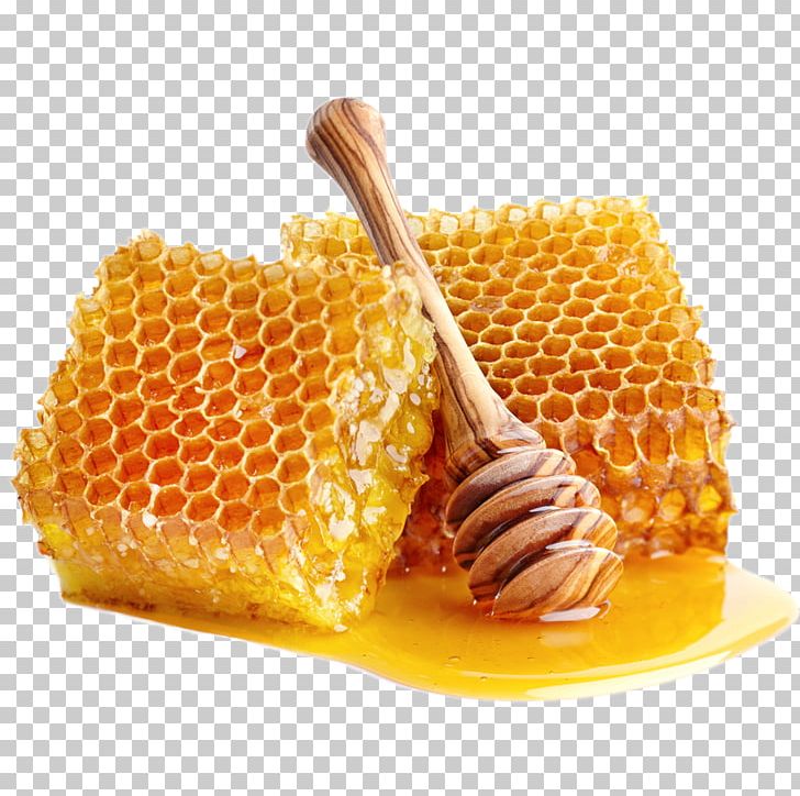Honey Bee Honey Bee Food Sweetness PNG, Clipart, Bee, Corn On The Cob, Creamed Honey, Dish, Flavor Free PNG Download