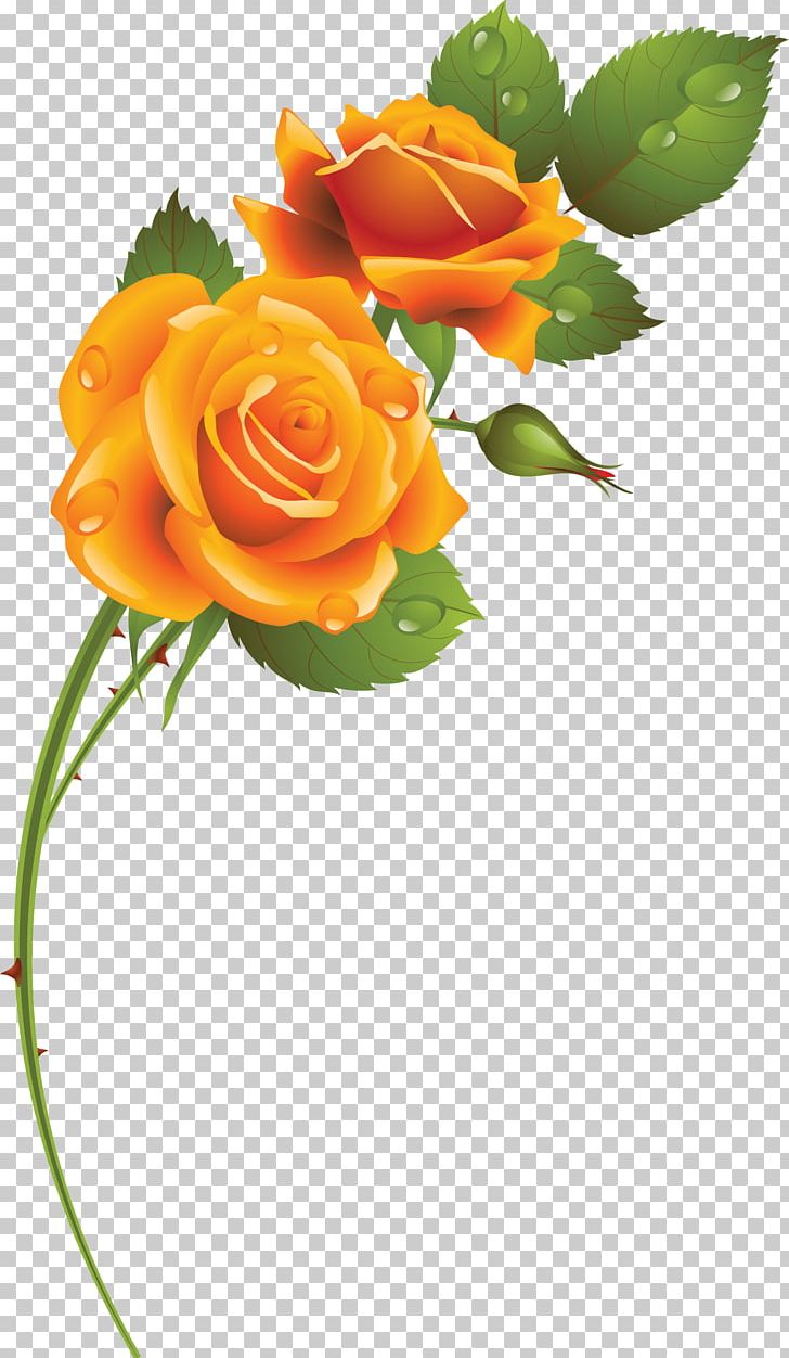 Cut Flowers Garden Roses Rosaceae PNG, Clipart, Cut Flowers, Floral Design, Floristry, Flower, Flower Arranging Free PNG Download