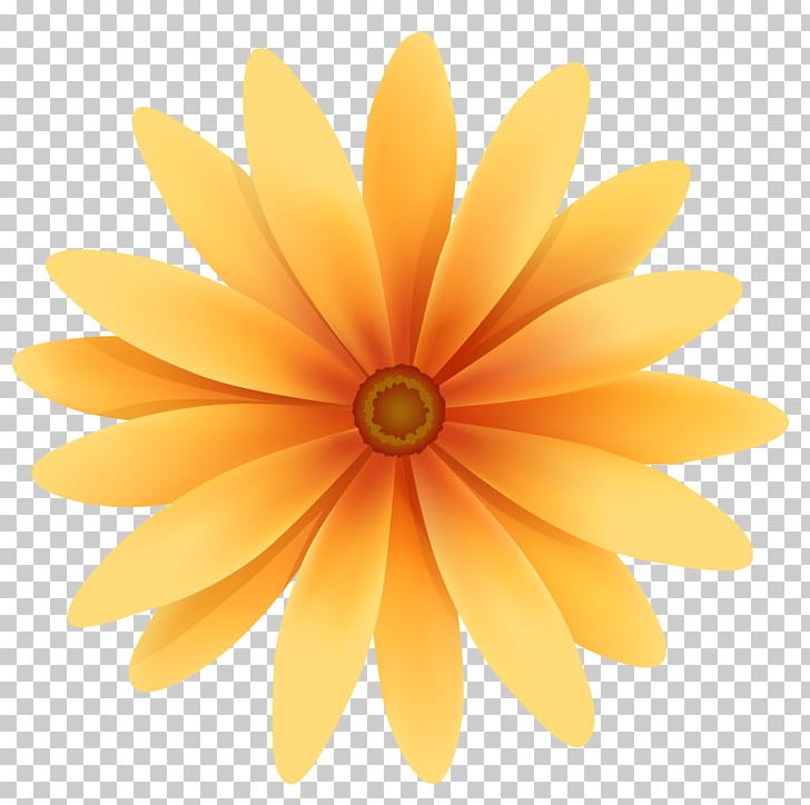 Graphics Stock Illustration Flower PNG, Clipart, Daisy Family, Desktop Wallpaper, Floral Design, Flower, Nature Free PNG Download