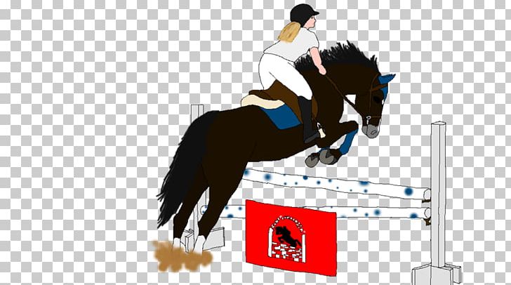 Show Jumping Stallion Hunt Seat Mustang Rein PNG, Clipart, Animal Sports, Bridle, English Riding, Equestrian, Equestrianism Free PNG Download