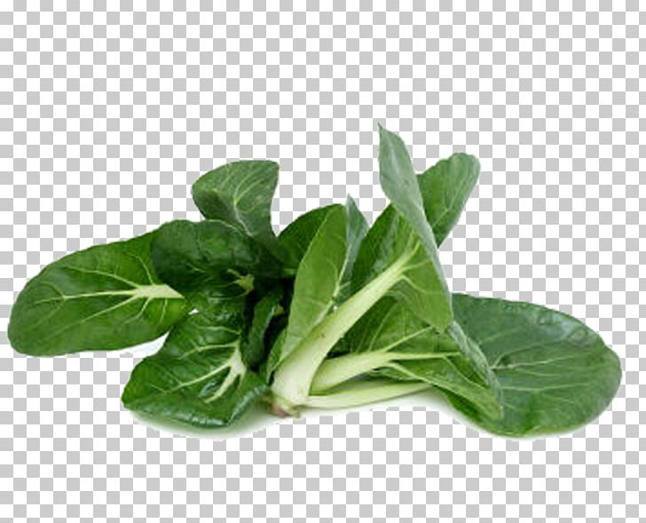 Choy Sum Spring Greens Chard Napa Cabbage Vegetable PNG, Clipart, Blue, Bok Choy, Cabbage, Cabbage Vector, Chinese Cabbage Free PNG Download