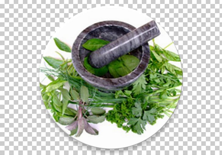 Herbalism Alternative Health Services Medicine Ayurveda PNG, Clipart, Alternative Health Services, Ayurveda, Cure, Disease, Food Free PNG Download