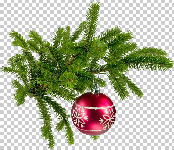 Santa Claus Christmas Fir New Year Bombka PNG, Clipart, Blue Spruce, Bombka, Branch, Christmas, Christmas Decoration Free PNG Download