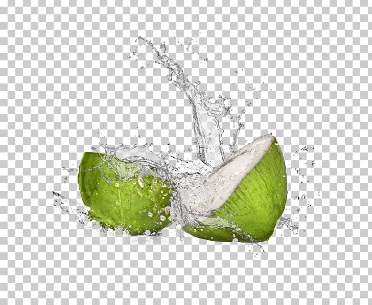 Coconut Water Key Lime Still Life Photography Desktop PNG, Clipart, Agua, Bottle, Citrus, Coconut Water, Computer Free PNG Download