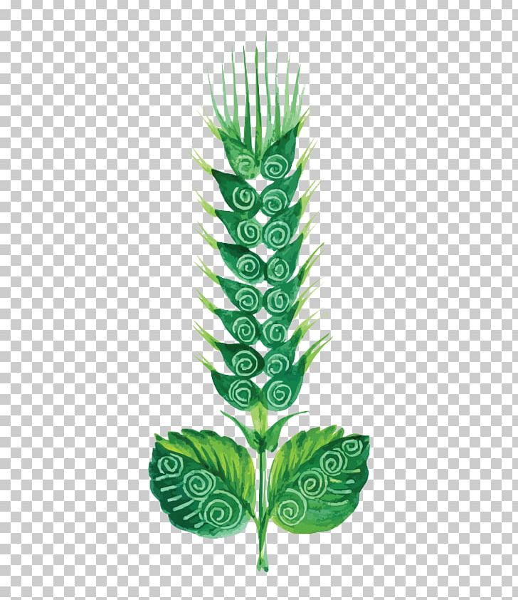 Flower Painting Euclidean Cdr PNG, Clipart, Background Green, Cdr, Cereals, Crops, Decorative Arts Free PNG Download