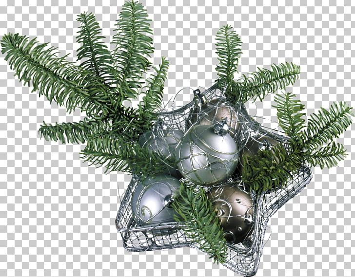 Christmas Ornament Desktop New Year Holiday PNG, Clipart, Bombka, Branch, Christmas, Christmas Decoration, Christmas Giftbringer Free PNG Download