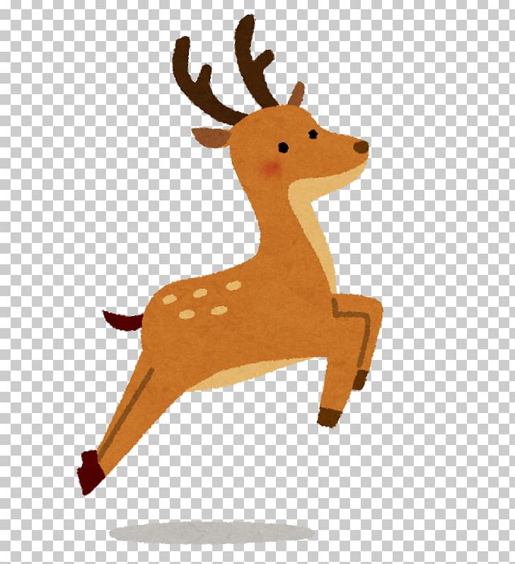 Deer Nara いらすとや North Korean Abductions Of Japanese Citizens Person PNG, Clipart, Animal, Animal Figure, Animals, Deer, Japan Free PNG Download