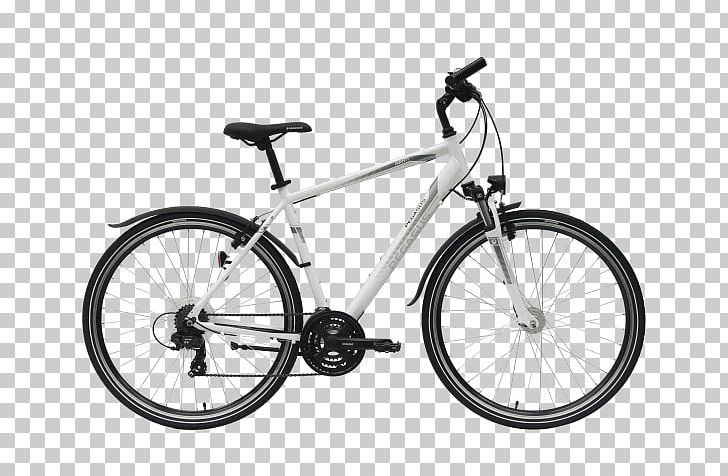Hybrid Bicycle Giant Bicycles Mountain Bike Single-speed Bicycle PNG, Clipart, Bicycle, Bicycle Accessory, Bicycle Frame, Bicycle Frames, Bicycle Part Free PNG Download