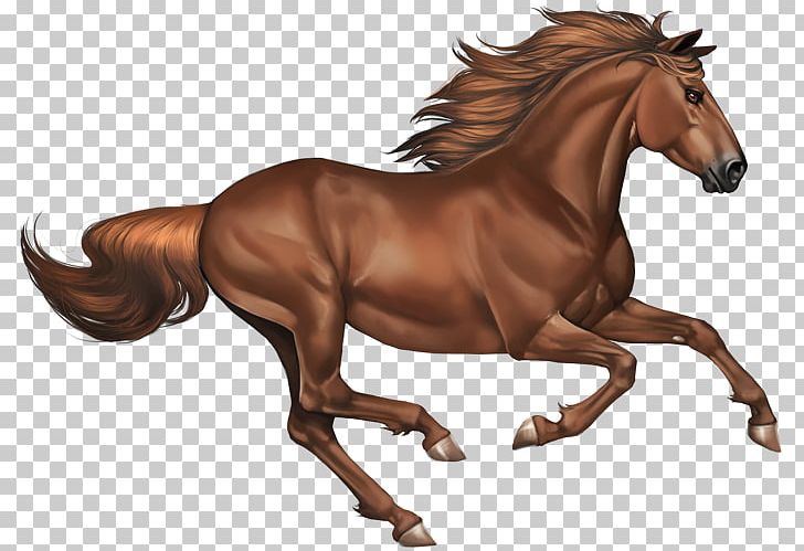 Mustang Stallion Mare Foal Mane PNG, Clipart, Animal Figure, Bridle, Buckskin, Chestnut, Domestic Animal Free PNG Download