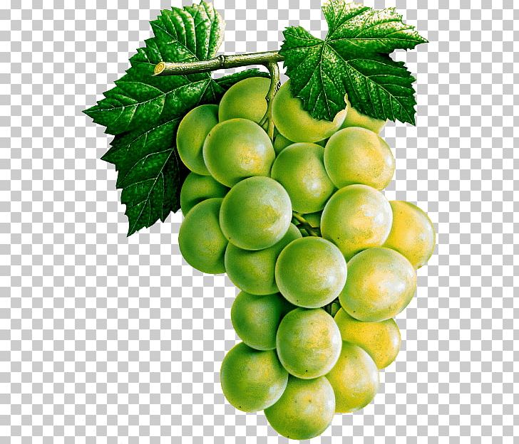 White Wine Common Grape Vine Juice PNG, Clipart, Better, Delicious, Detox, Diet Food, Food Free PNG Download