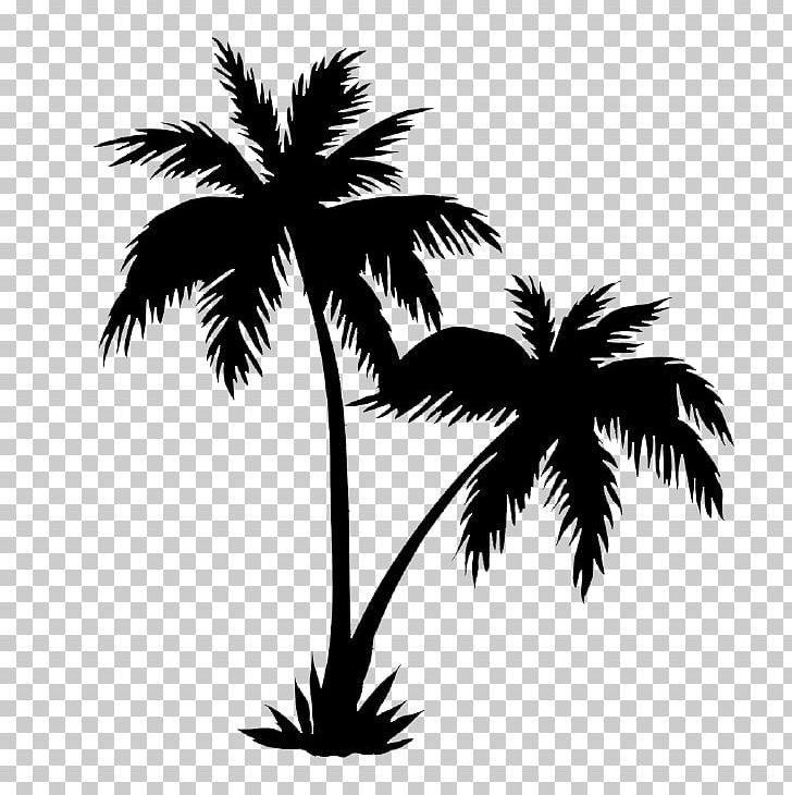 Arecaceae Drawing Tree PNG, Clipart, Arecales, Art, Black And White, Borassus Flabellifer, Branch Free PNG Download