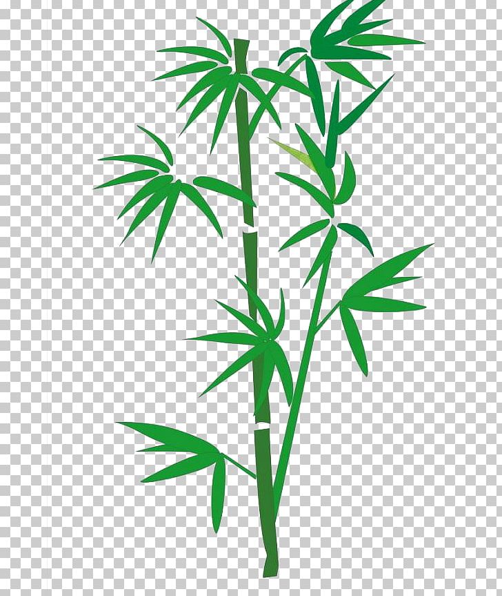 Bamboo Cartoon PNG, Clipart, Advertising, Bamboo Border, Bamboo Frame, Bamboo Leaf, Bamboo Leaves Free PNG Download