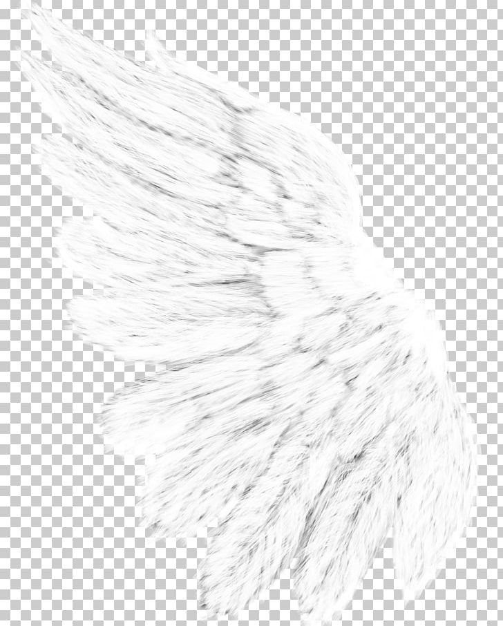 Drawing Monochrome Photography Line Art White PNG, Clipart, Animals, Black And White, Brush, Drawing, Feather Free PNG Download