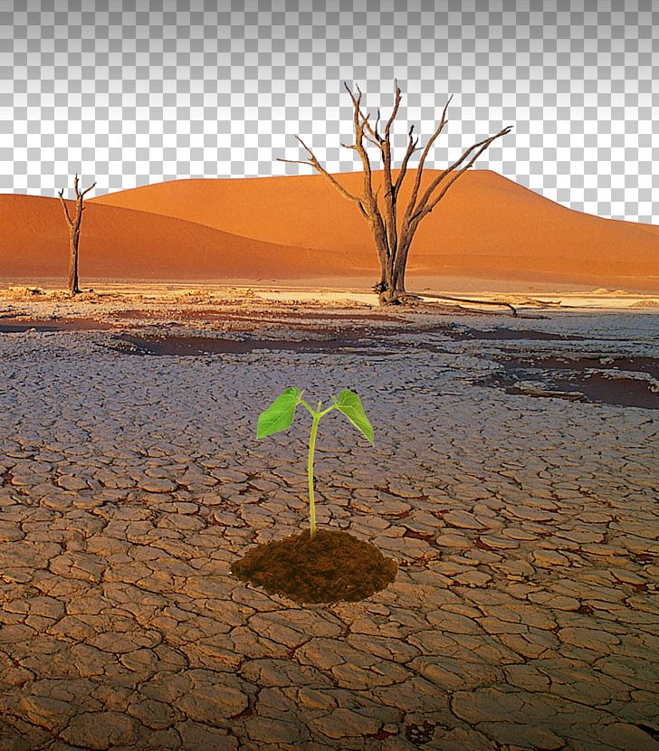 Drought Natural Disaster Water Desertification PNG, Clipart, Aeolian Landform, Crisi De Laigua, Desert, Dry, Dust Storm Free PNG Download