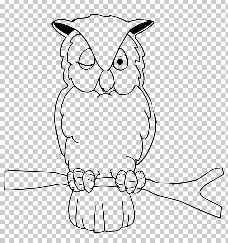 Owl Coloring Book Bird Drawing PNG, Clipart, Angle, Animal, Animals, Artwork, Bird Free PNG Download
