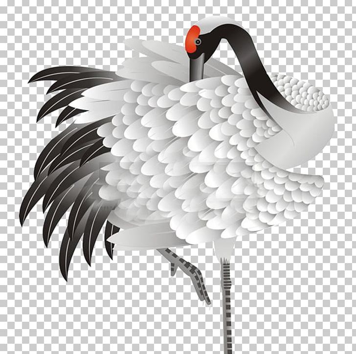 Red-crowned Crane Bird Siberian Crane Plumage PNG, Clipart, Animals, Beak, Bird, Crane, Crane Like Bird Free PNG Download