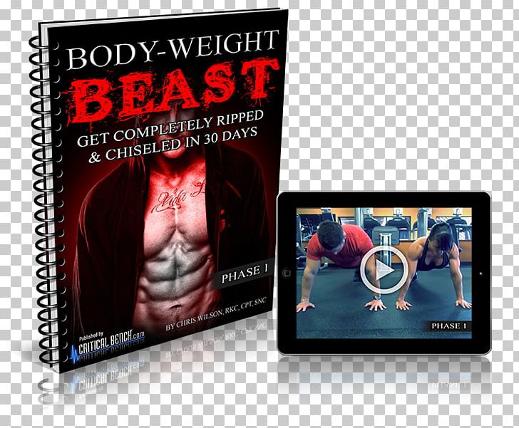 Bodyweight Exercise Bodybuilding Muscle Human Body PNG, Clipart, Bodybuilding, Bodybuilding Boy, Bodyweight Exercise, Display Advertising, Dvd Free PNG Download