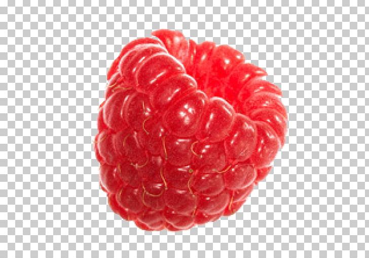 Fruit Raspberry PNG, Clipart, Berry, Blackberry, Boysenberry, Download, Food Free PNG Download