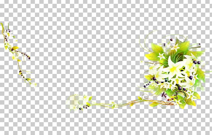 Lilium Flower PNG, Clipart, Black, Black Peas, Blossom, Branch, Bud Free PNG Download