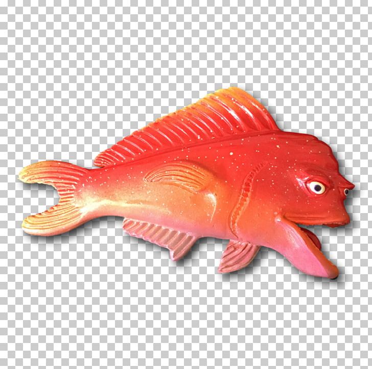 Northern Red Snapper Marine Biology Fish PNG, Clipart, Animal, Animal Figure, Attitude, Biology, Fish Free PNG Download