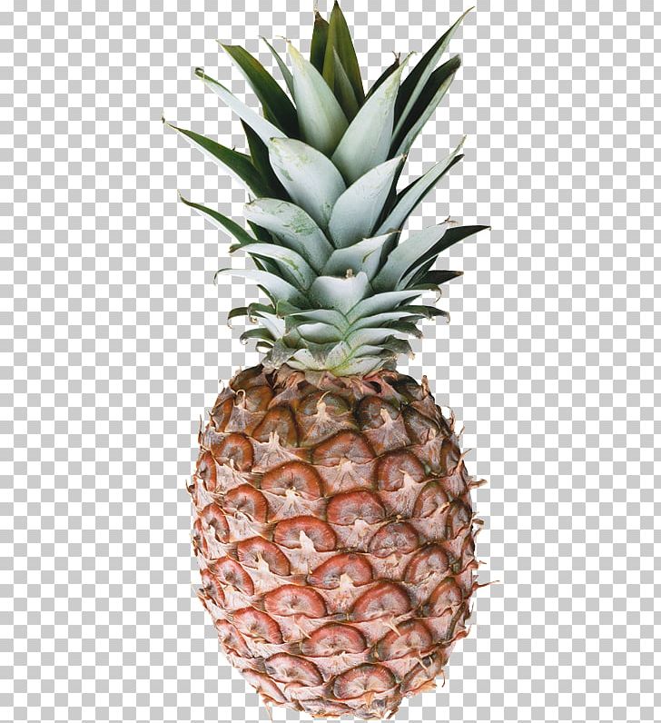 Pineapple Juice Piña Colada Smoothie Pineapple Juice PNG, Clipart, Ananas, Bromeliaceae, Canning, Flowerpot, Food Free PNG Download