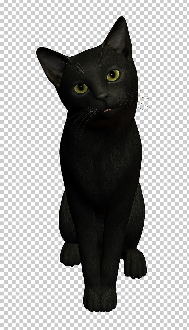 Black Cat Dog PNG, Clipart, Animal, Animals, Asian, Black, Bombay Free PNG Download