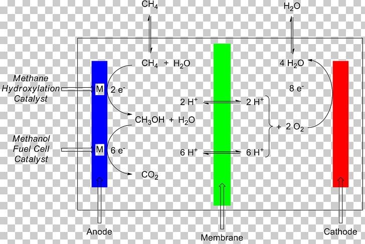 Fuel Cells Microbial Fuel Cell Proton-exchange Membrane Fuel Cell Alkaline Fuel Cell PNG, Clipart, Alkaline Fuel Cell, Angle, Area, Catalysis, Cell Free PNG Download