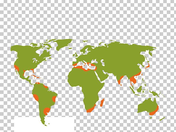 World Map Earth Globe PNG, Clipart, Area, Atlas, Citrus Xd7 Sinensis, Earth, Flat Earth Free PNG Download