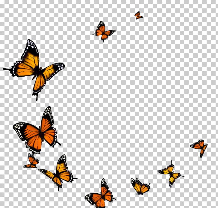 Butterfly PNG, Clipart, Bird, Brush Footed Butterfly, Butterflies, Butterfly Group, Encapsulated Postscript Free PNG Download