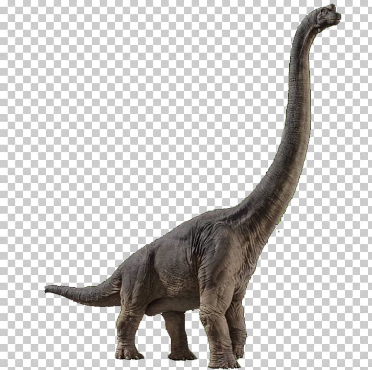 Brachiosaurus Velociraptor Spinosaurus Jurassic Park Builder Jurassic World Evolution PNG, Clipart, Animal Figure, Brachiosaurus, Dinosaur, Extinction, Fauna Free PNG Download