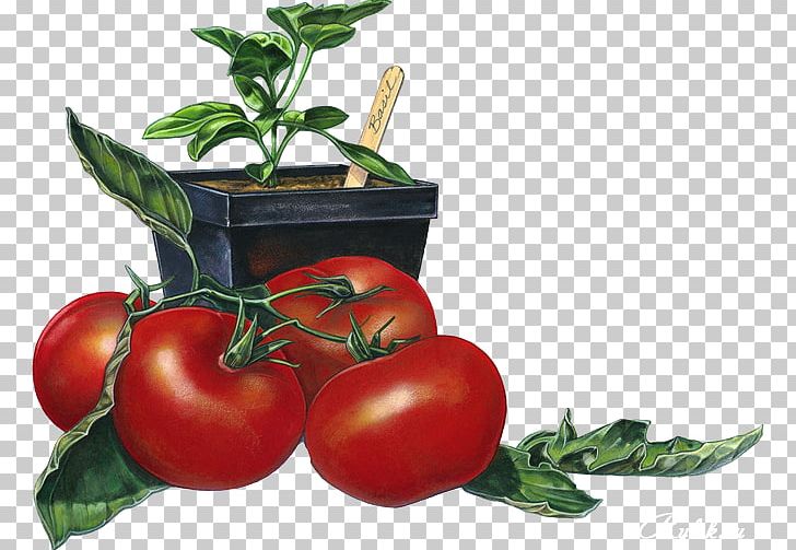 Bush Tomato Tomato Juice Bruschetta Italian Cuisine Mamma DiSalvo's PNG, Clipart,  Free PNG Download