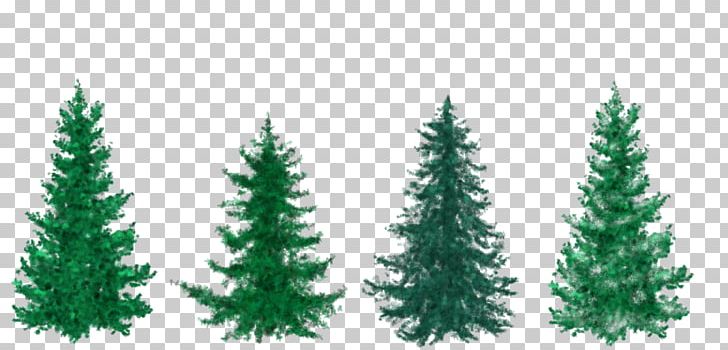 Christmas Tree Pine Fir PNG, Clipart, Biome, Christmas, Christmas Decoration, Christmas Ornament, Christmas Tree Free PNG Download