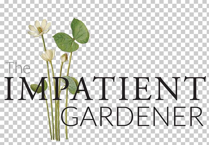 Cut Flowers The Impatient Gardener Plant Stem Window Box PNG, Clipart, Brand, Calamintha, Cut Flowers, Flora, Floral Design Free PNG Download